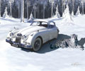 Jaguar Snow